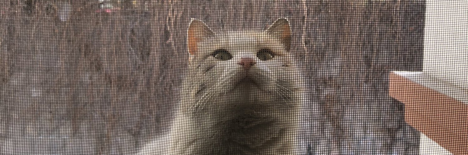 nurefsaann's profile banner image