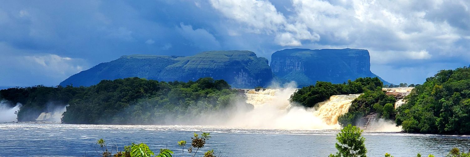 Helietta González H banner