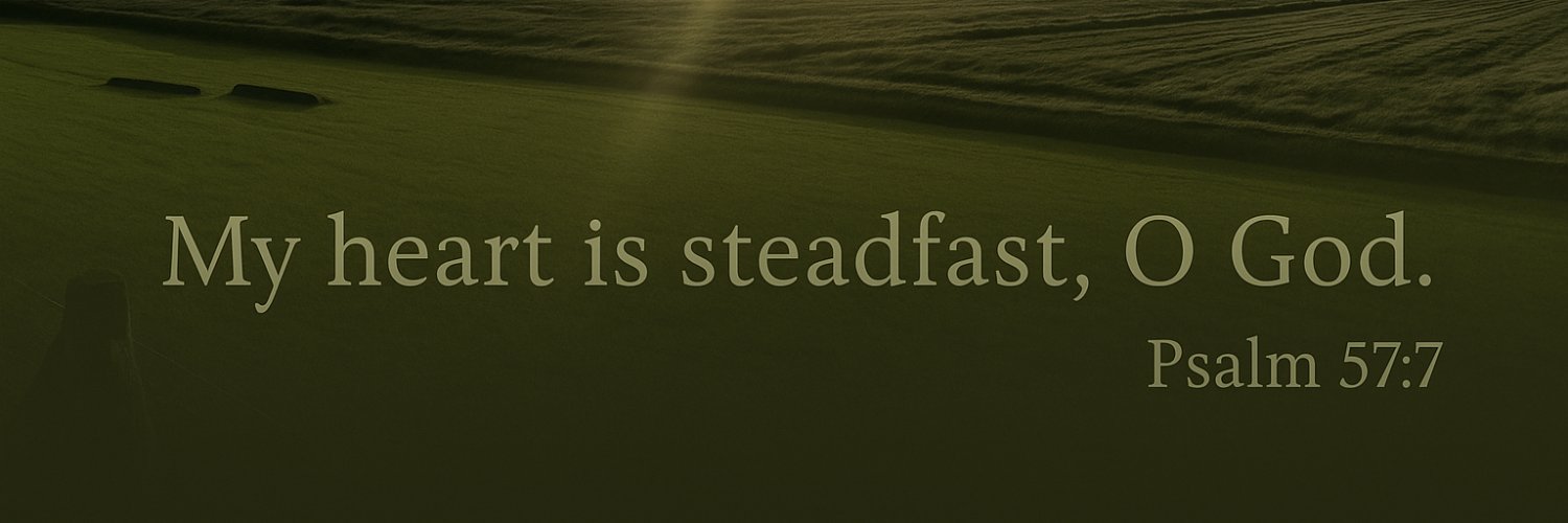 benjamin_wasty's profile banner image