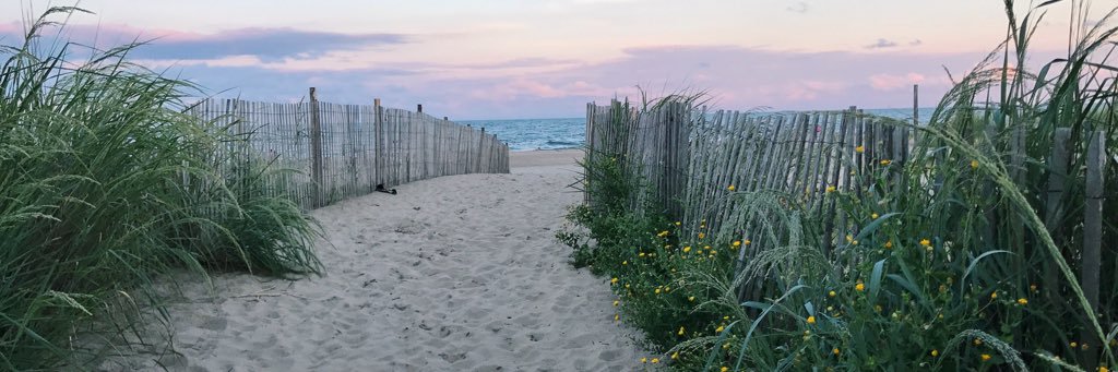 hannahcutler_'s profile banner image
