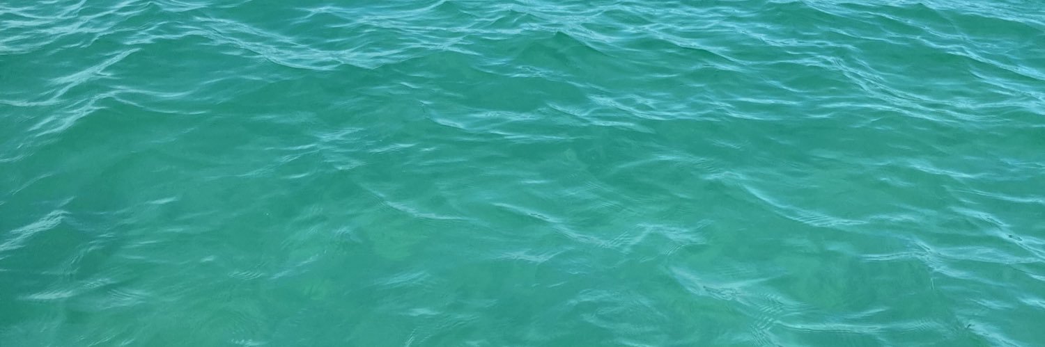 camilacetta's profile banner image