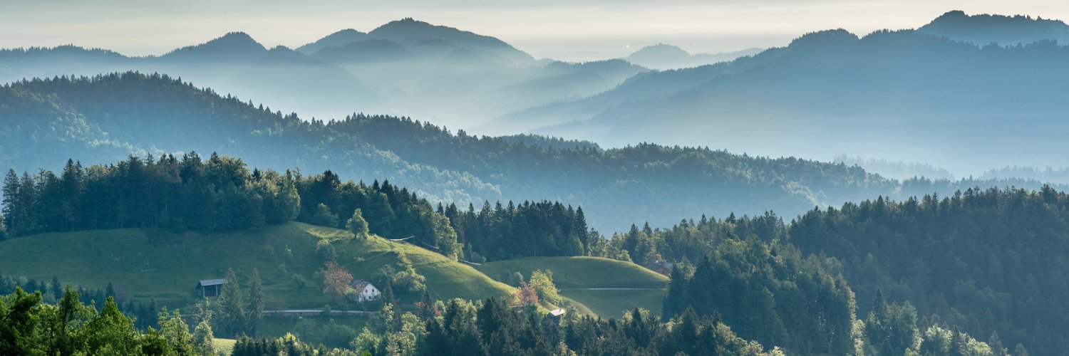 Save Freedom of Movement 🇪🇺 🇬🇧 banner