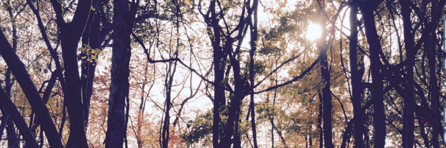 ashmperez_'s profile banner image