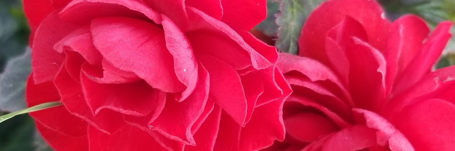 PhotoChik's profile banner image