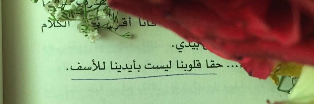 laylaa_45's profile banner image