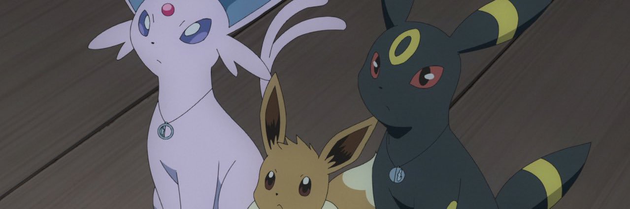 evileevee_'s profile banner image