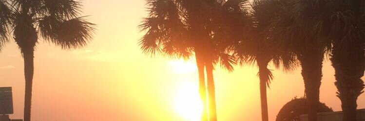 MadisonMeyer2's profile banner image