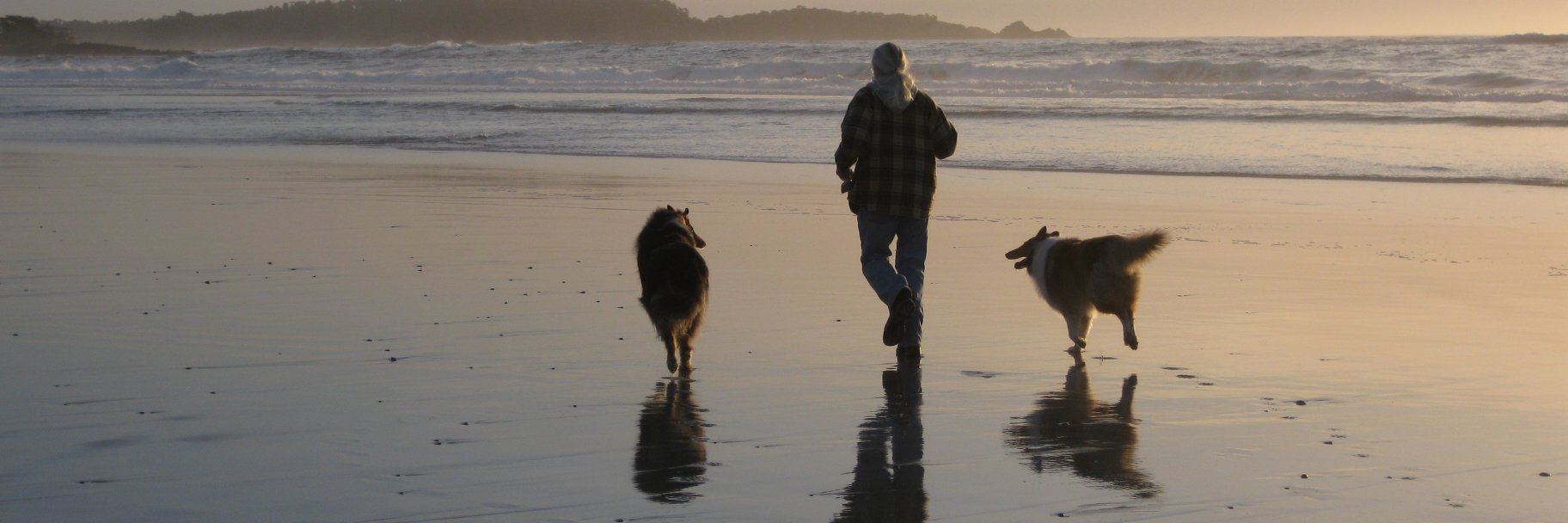 Paula M. Block banner