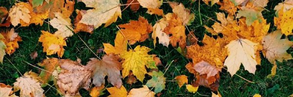 RadioRose Profile Banner