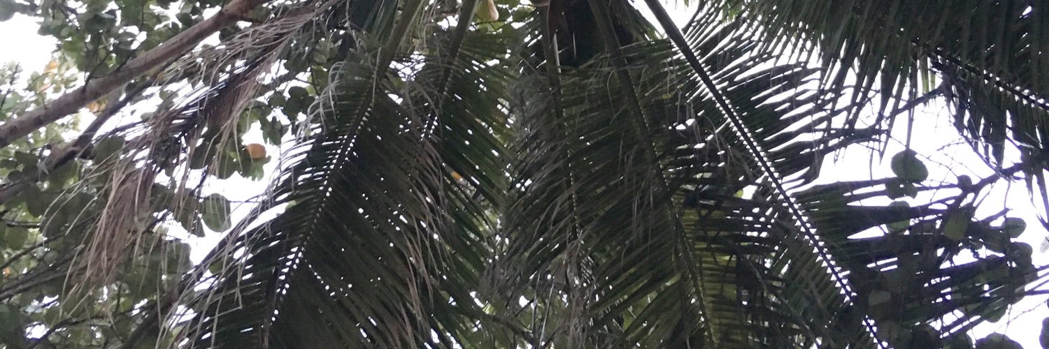 more_rebe's profile banner image