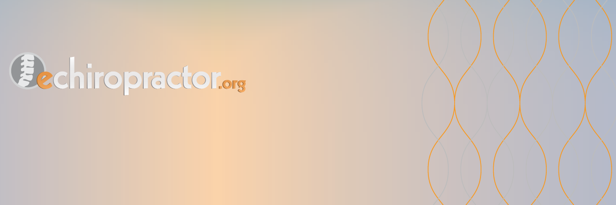 Echiropractor's profile banner image