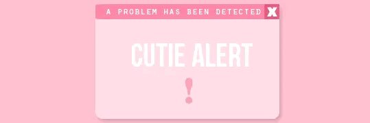 pone is best boy banner