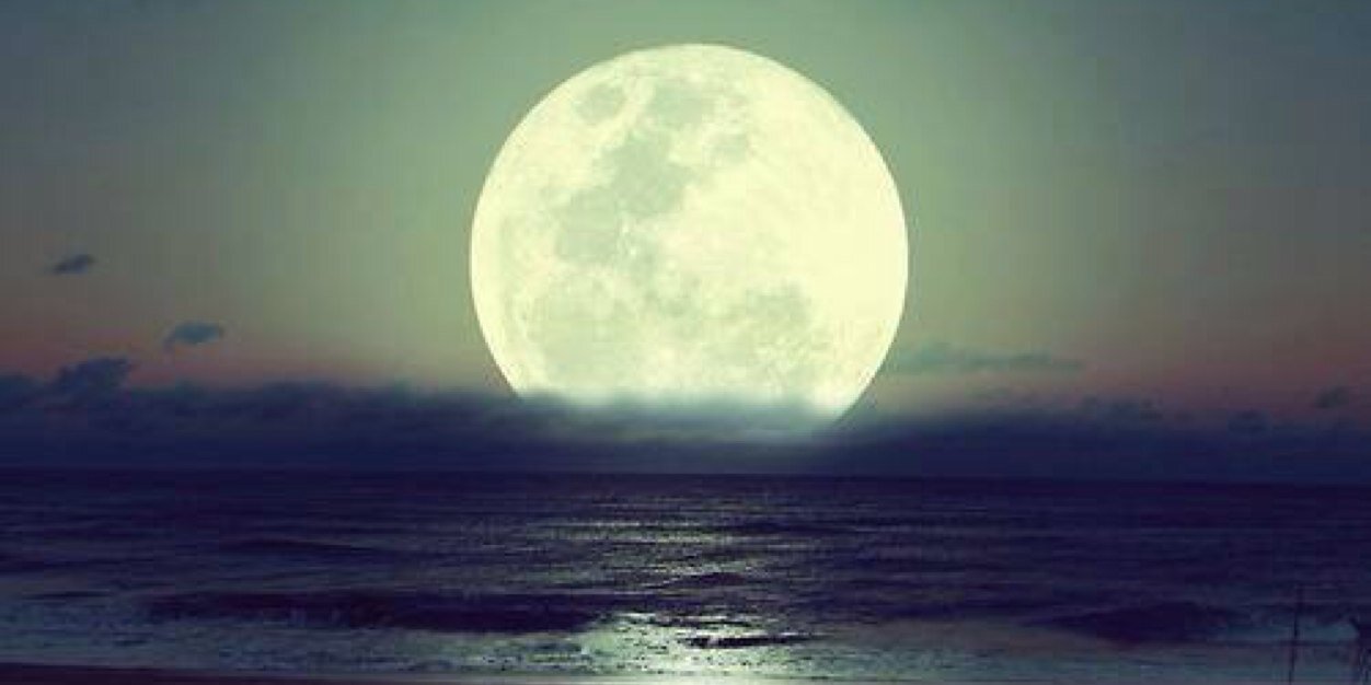 Eduardo Ibarra banner