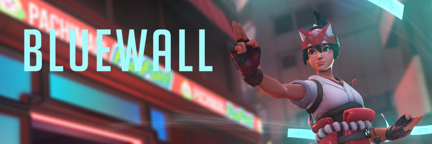 Bluewall @Bluewall@infosec.exchange banner