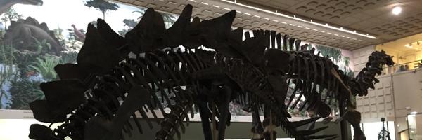 ajkleinmann Profile Banner