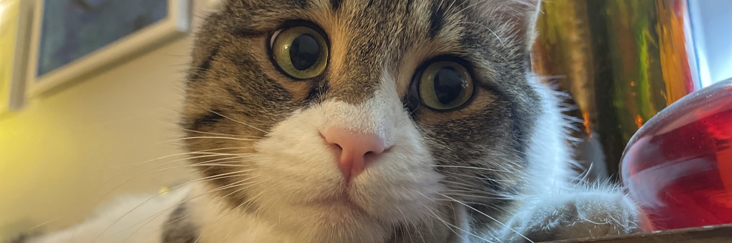 Maryam Manouchehri banner