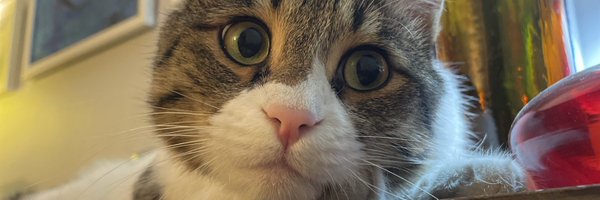 eghlim Profile Banner