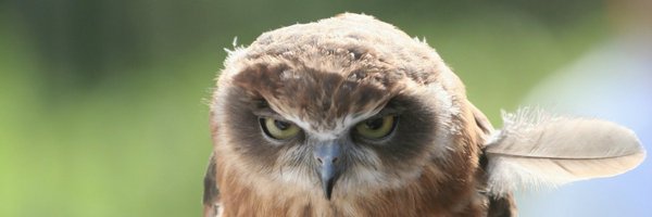 Andr3jH Profile Banner