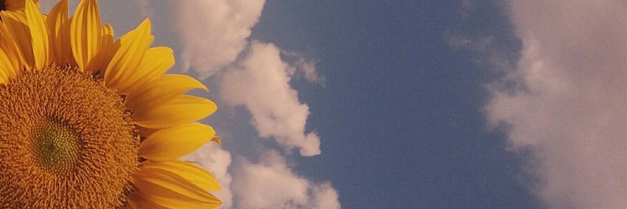 jakyramirezJ's profile banner image