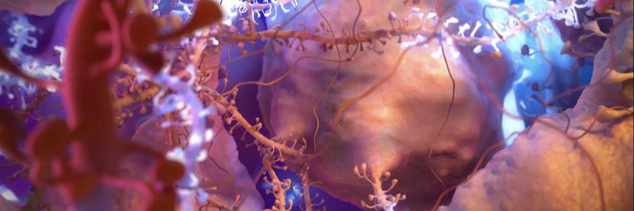 xploremed's profile banner image