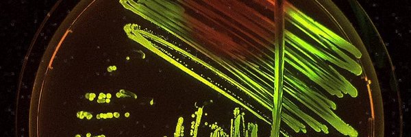 icvaraA Profile Banner