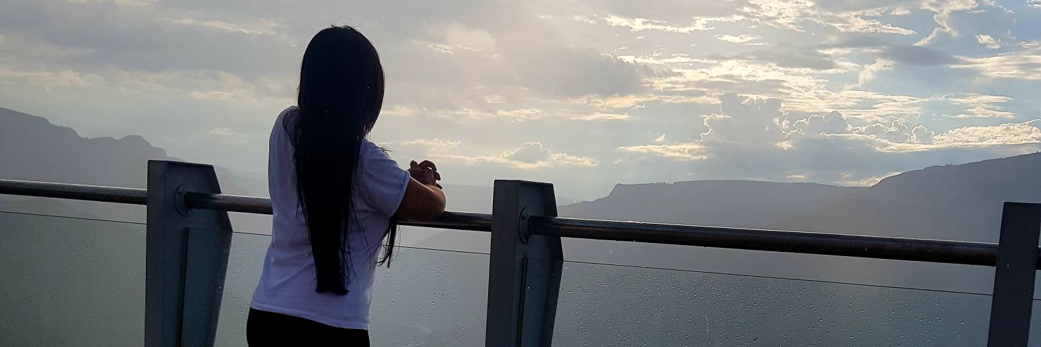 MelaneNavarro's profile banner image