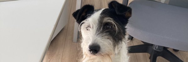 rbessuges Profile Banner