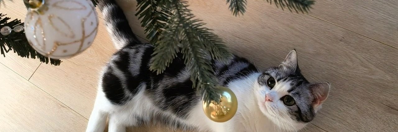flkelleher's profile banner image