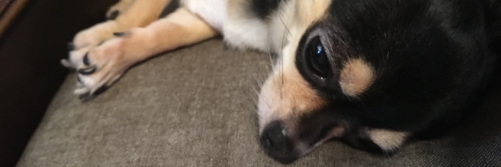 toritori1015's profile banner image