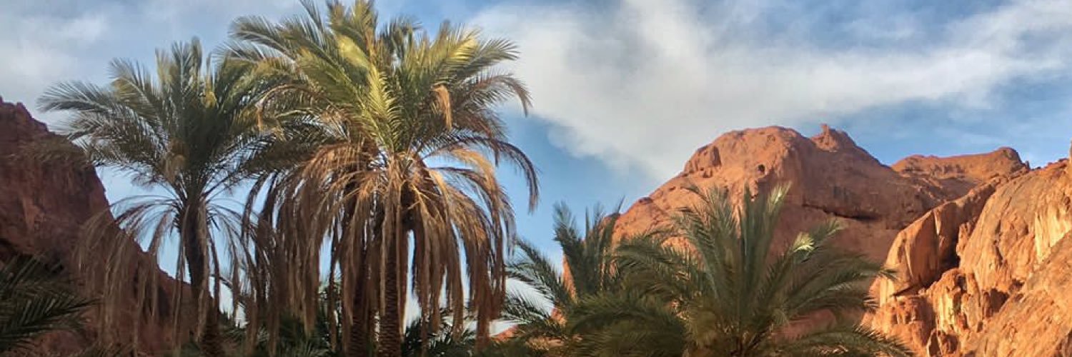 رتويت حايل بعد حيي banner