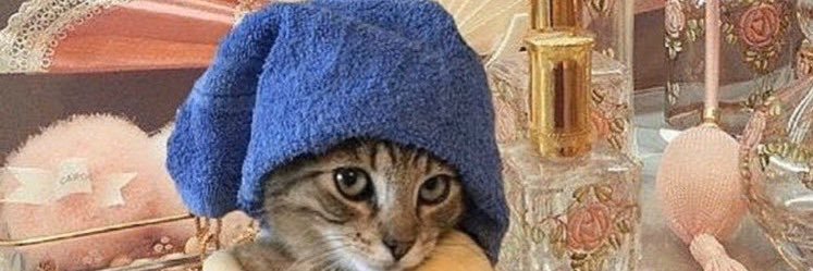 ashleyewright15's profile banner image