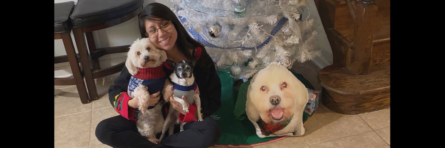 sstephssteph_'s profile banner image