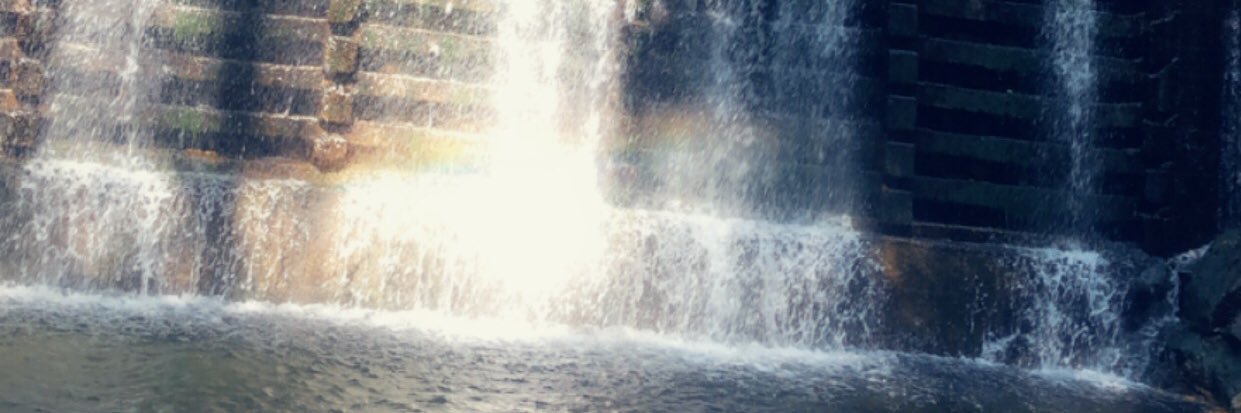 megzlynnn's profile banner image