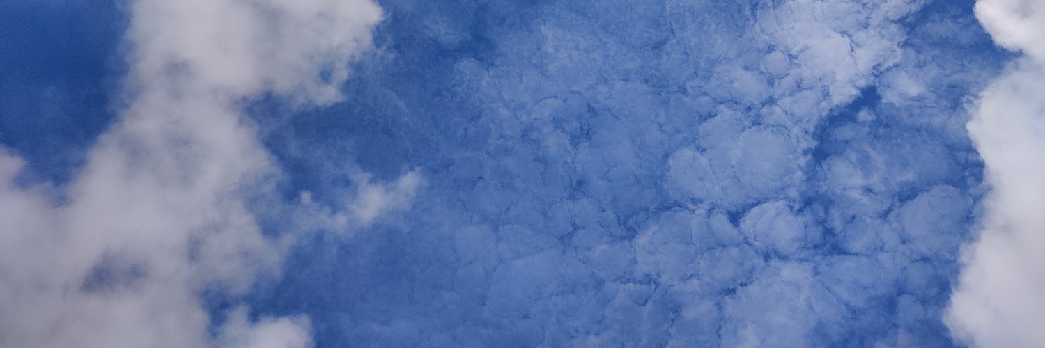 Peter Eigenraam 🤯 banner