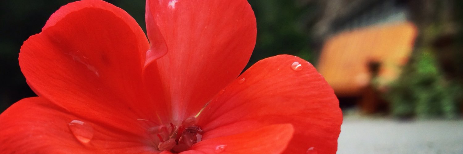 jacquedavis16's profile banner image