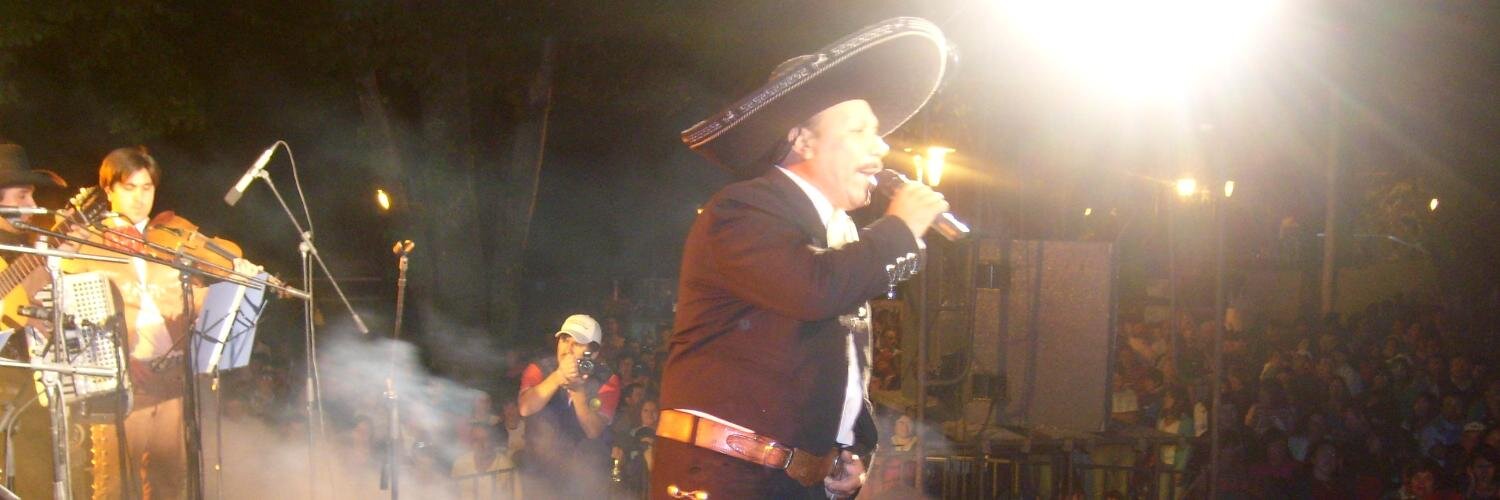 ElCharroDeNuble's profile banner image