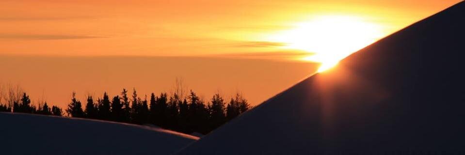 IHRGUofO's profile banner image