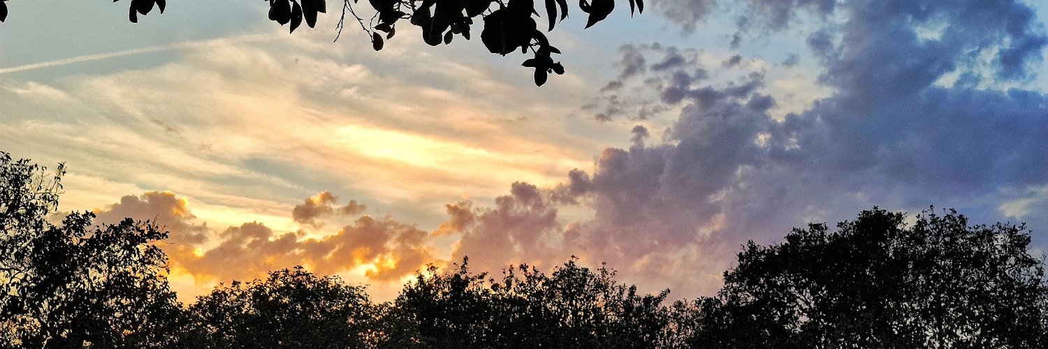 olidelcampo's profile banner image