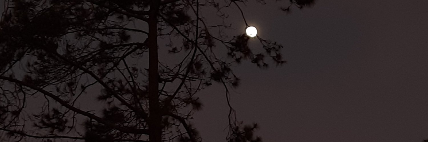 peglika_'s profile banner image
