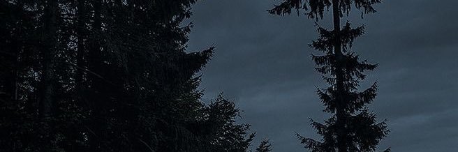 stol3ntears's profile banner image