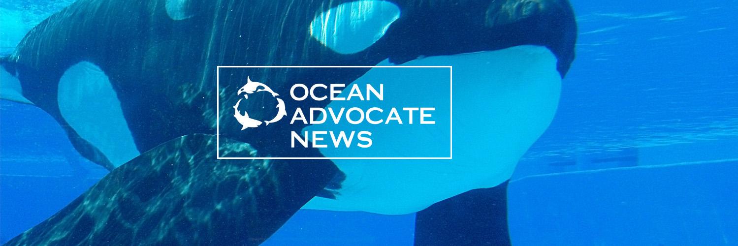 Ocean Advocate News banner