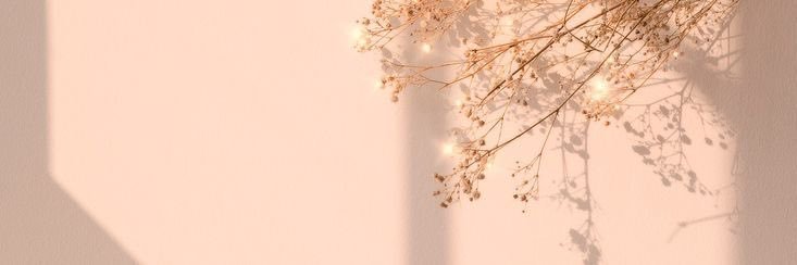 solnovojdb's profile banner image