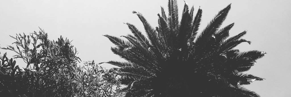 MaffaRico's profile banner image