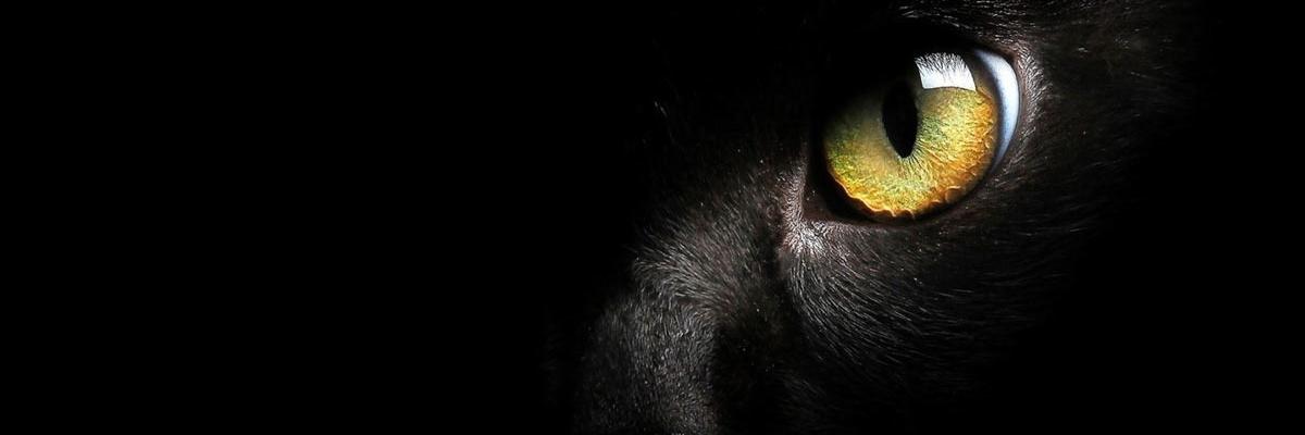 DARK910 banner