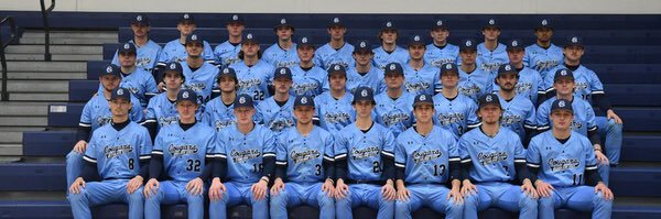 Cleveland State ⚾️ banner