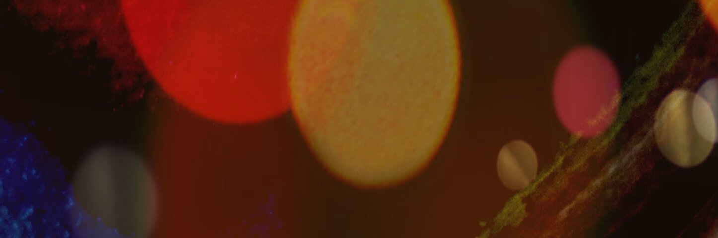 mariatdcl's profile banner image