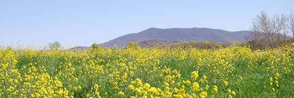 pickellijay Profile Banner