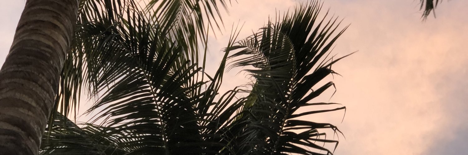 natali_cadena's profile banner image