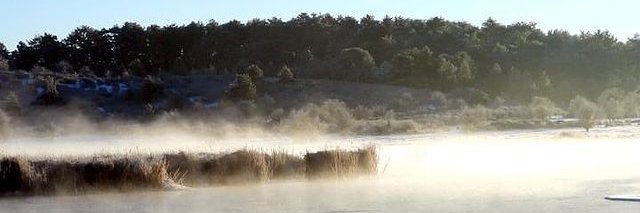 NuriaArgola's profile banner image