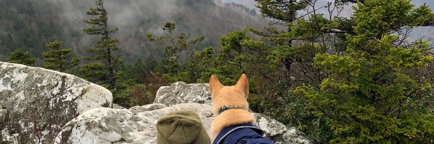 alogdog's profile banner image